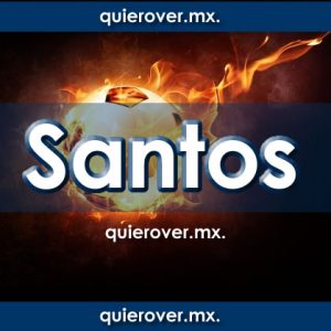 Santos Laguna Santos Laguna