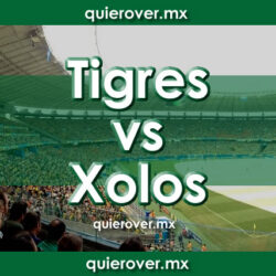Tigres vs Xolos