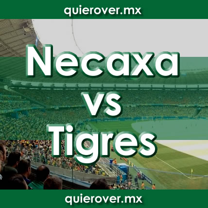 Necaxa Tigres
