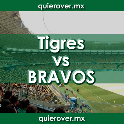 Tigres vs Bravos de Juarez